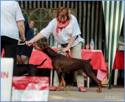 View melisenta2017-3