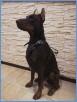 View IMG 20200202 092041